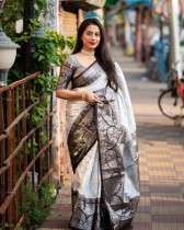 Luxurious Banarasi Saree Silver Zari and All-Over Floral Pattern